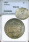 1921 Mint State 66 Morgan dollar (NNC) toned
