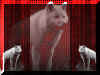 Nice wolf wallpaper with red backround