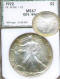 1992 Silver Eagle Mint state 67 (PCI) Rainbow toned